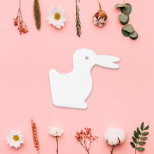 Magic Duck & Rabbit Illusion Toy