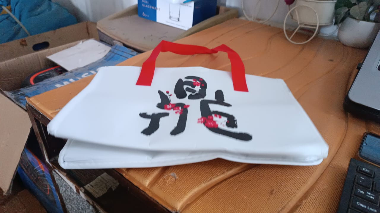 Premium Insulated Thermal Lunch Bag (1 Pc)